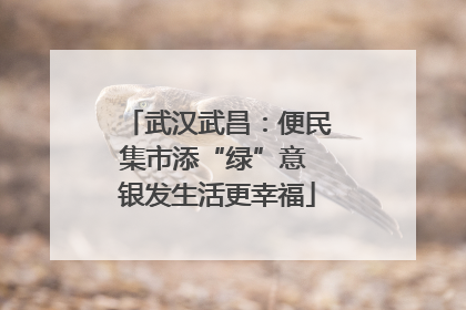 武汉武昌：便民集市添“绿”意 银发生活更幸福