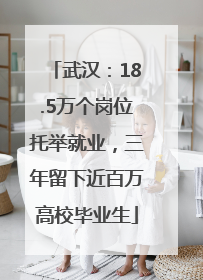 武汉：18.5万个岗位托举就业，三年留下近百万高校毕业生