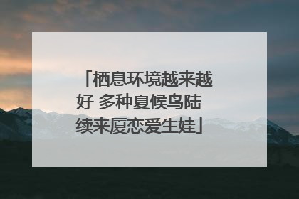 栖息环境越来越好 多种夏候鸟陆续来厦恋爱生娃