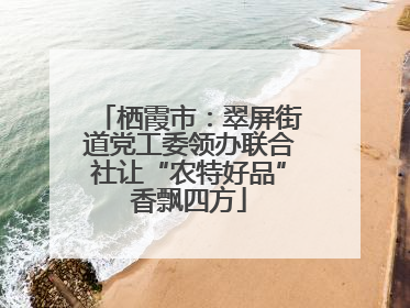 栖霞市：翠屏街道党工委领办联合社让“农特好品”香飘四方