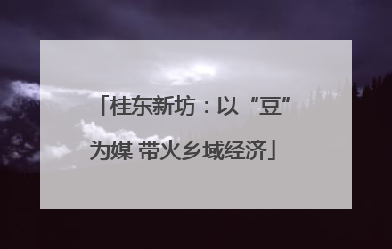 桂东新坊：以“豆”为媒 带火乡域经济