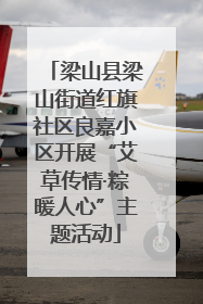 梁山县梁山街道红旗社区良嘉小区开展“艾草传情·粽暖人心”主题活动