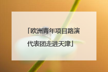 欧洲青年项目路演代表团走进天津