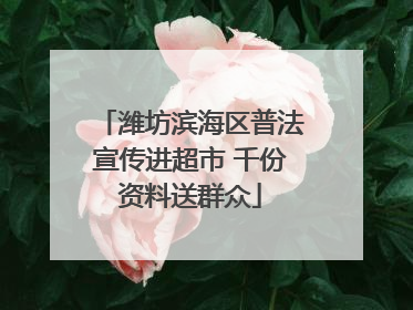 潍坊滨海区普法宣传进超市 千份资料送群众