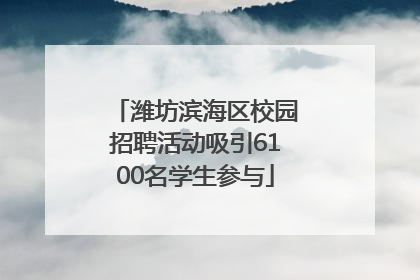 潍坊滨海区校园招聘活动吸引6100名学生参与