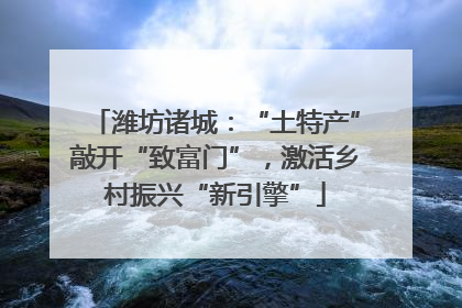潍坊诸城：“土特产”敲开“致富门”，激活乡村振兴“新引擎”