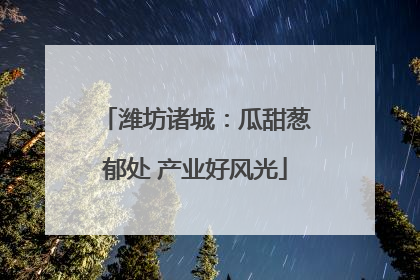 潍坊诸城：瓜甜葱郁处 产业好风光