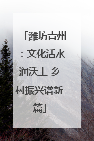 潍坊青州：文化活水润沃土 乡村振兴谱新篇