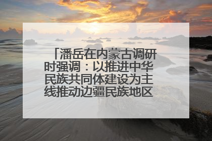 潘岳在内蒙古调研时强调：以推进中华民族共同体建设为主线推动边疆民族地区高质量发展