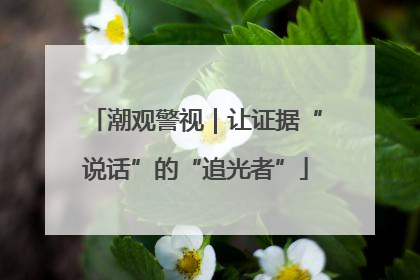 潮观警视｜让证据“说话”的“追光者”