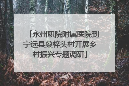 永州职院附属医院到宁远县桑梓头村开展乡村振兴专题调研