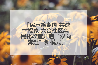 民声绘蓝图 共建幸福家 六合社区亲民化改造开启“双向奔赴”新模式