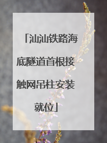 汕汕铁路海底隧道首根接触网吊柱安装就位