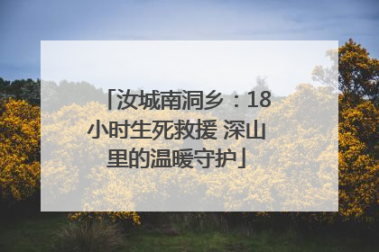 汝城南洞乡：18小时生死救援 深山里的温暖守护