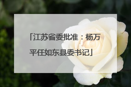 江苏省委批准：杨万平任如东县委书记
