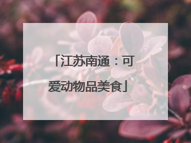 江苏南通：可爱动物品美食