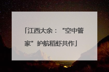 江西大余：“空中管家”护航稻虾共作
