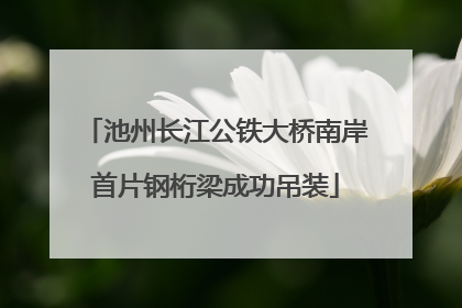 池州长江公铁大桥南岸首片钢桁梁成功吊装