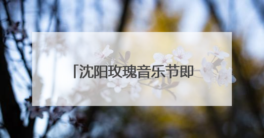 沈阳玫瑰音乐节即将开唱！演出时间表、接驳车指南来了