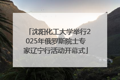 沈阳化工大学举行2025年俄罗斯院士专家辽宁行活动开幕式