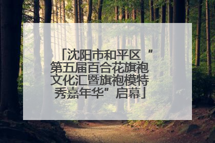 沈阳市和平区“第五届百合花旗袍文化汇暨旗袍模特秀嘉年华”启幕