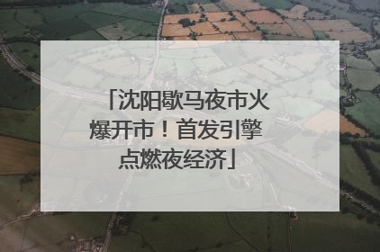 沈阳歇马夜市火爆开市！首发引擎点燃夜经济