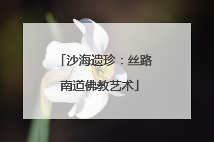 沙海遗珍：丝路南道佛教艺术