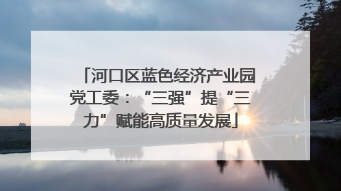 河口区蓝色经济产业园党工委：“三强”提“三力”赋能高质量发展