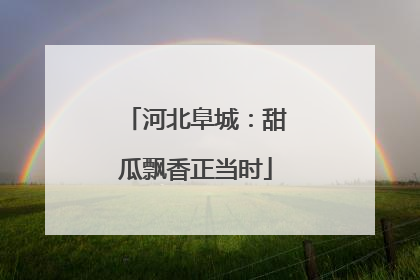 河北阜城：甜瓜飘香正当时