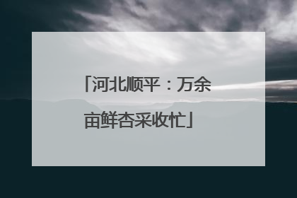 河北顺平：万余亩鲜杏采收忙