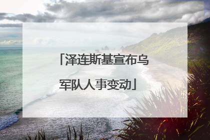 泽连斯基宣布乌军队人事变动