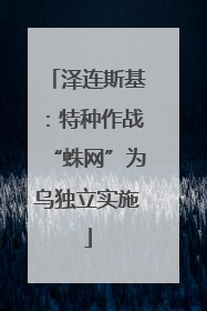 泽连斯基：特种作战“蛛网”为乌独立实施