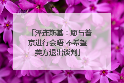 泽连斯基：愿与普京进行会晤 不希望美方退出谈判