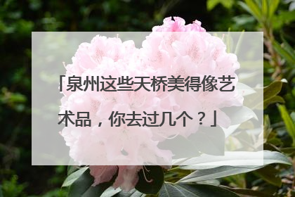泉州这些天桥美得像艺术品，你去过几个？