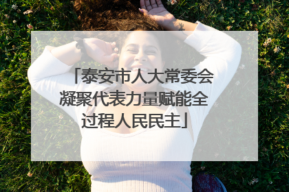 泰安市人大常委会凝聚代表力量赋能全过程人民民主