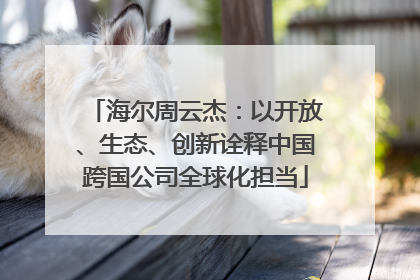 海尔周云杰：以开放、生态、创新诠释中国跨国公司全球化担当