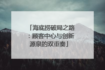 海底捞破局之路：顾客中心与创新源泉的双重奏