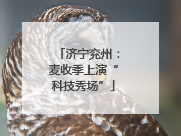 济宁兖州：麦收季上演“科技秀场”
