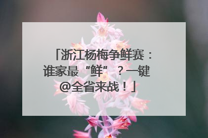 浙江杨梅争鲜赛：谁家最“鲜”？一键@全省来战！