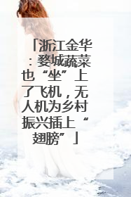 浙江金华：婺城蔬菜也“坐”上了飞机，无人机为乡村振兴插上“翅膀”