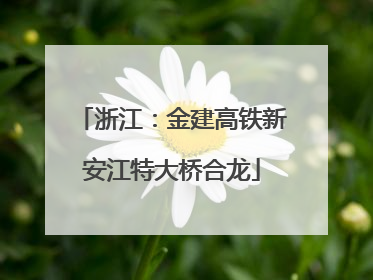 浙江：金建高铁新安江特大桥合龙