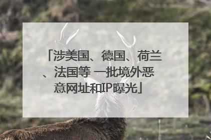 涉美国、德国、荷兰、法国等 一批境外恶意网址和IP曝光