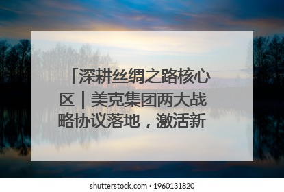 深耕丝绸之路核心区｜美克集团两大战略协议落地，激活新疆开放新动能
