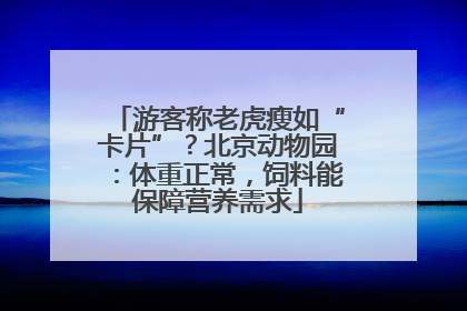 游客称老虎瘦如“卡片”？北京动物园：体重正常，饲料能保障营养需求