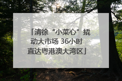 清徐“小菜心”撬动大市场 36小时直达粤港澳大湾区