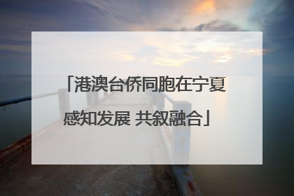 港澳台侨同胞在宁夏感知发展 共叙融合