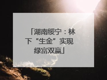 湖南绥宁：林下“生金”实现绿富双赢