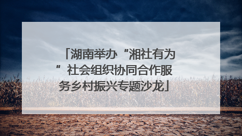湖南举办“湘社有为”社会组织协同合作服务乡村振兴专题沙龙