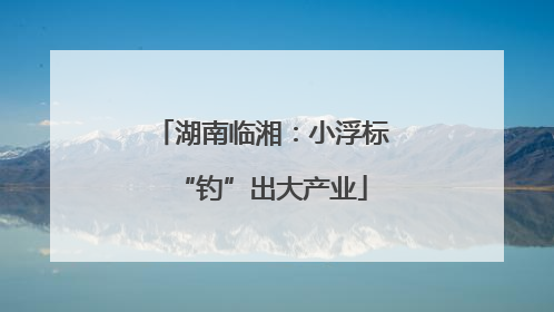 湖南临湘：小浮标“钓”出大产业