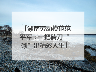 湖南劳动模范范平军：一把砖刀“砌”出精彩人生